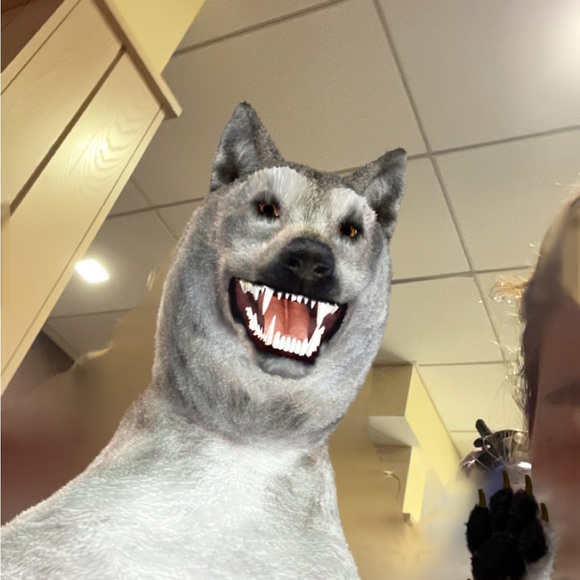 Meet your Posher, Minna - Picture 1 of 1